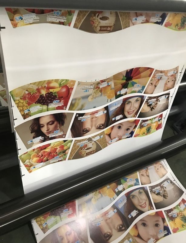 Çeşitli Renkli Otomatik Kayıt PE Kupaları Özel İstekle Flexo Baskı Makinesi