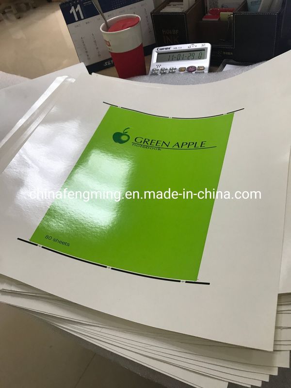 İşletmeniz için Çok Renkli Flexo Baskı'nın Çok yönlülüğünü Deneyin