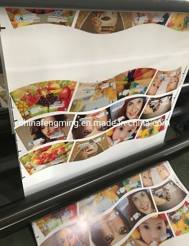 Maks. Web Genişliği 920/1020/1220mm FM-B 920-1850 Kağıt bardak için Flexographic Baskı Makinesi