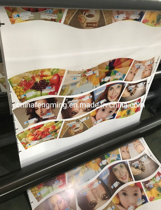 Hız 150m/min Baskı Hızı Birim Tipi Yapısı ile Flexografik Baskı Makinesi